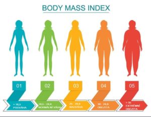 bmi v minicom